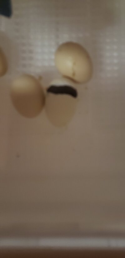 20220311_202501.jpg