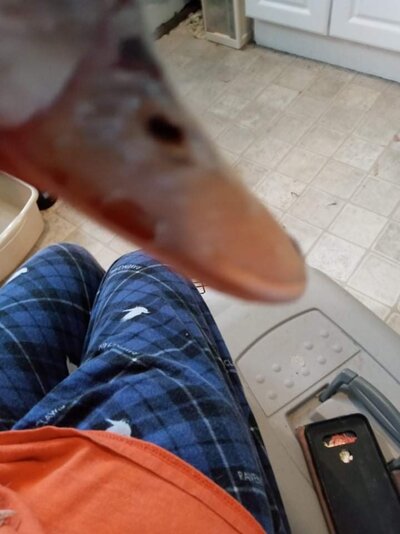 received_374644041162334.jpeg