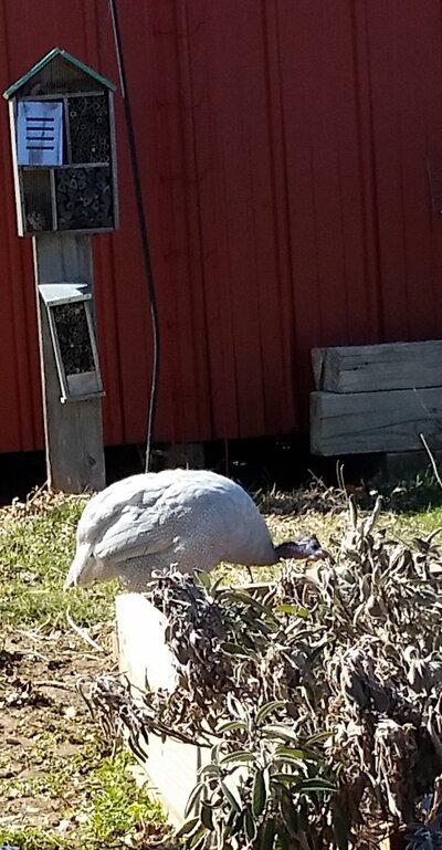 20220313_152815.jpg