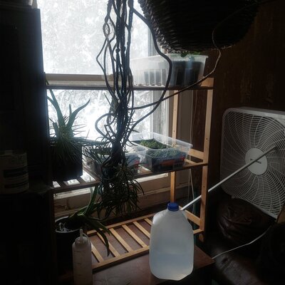 20220312_125729.jpg