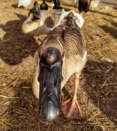 IMG_20220316_175620547_HDR-01.jpeg