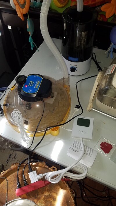 20220319_110601.jpg