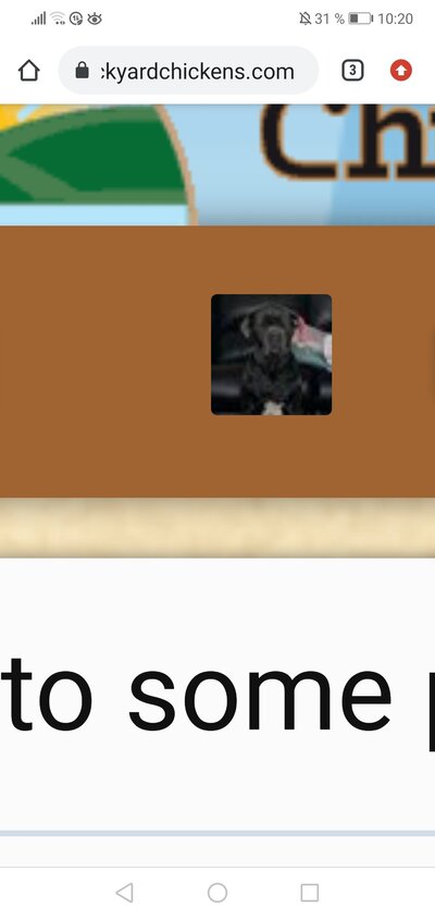 Screenshot_20220320_102007_com.android.chrome.jpg