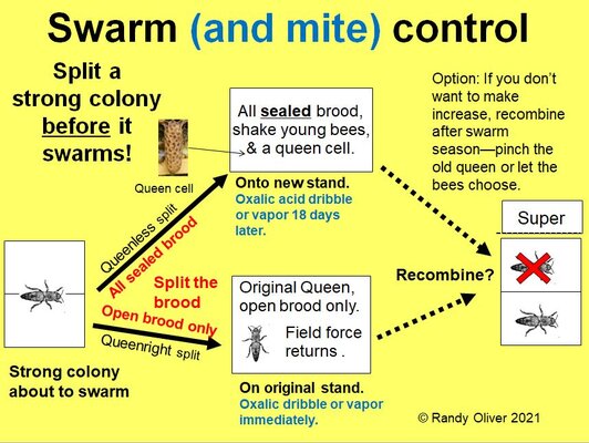 Swarm-and-mite-control-graphic-2017_09_01-01_05_38-UTC (1).jpg