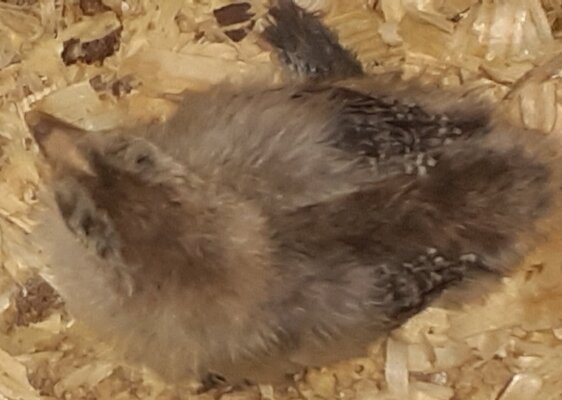 20220321_173129.jpg