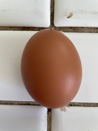 87EB587F-BE75-4C4F-8866-9A325D86F3EA.jpeg