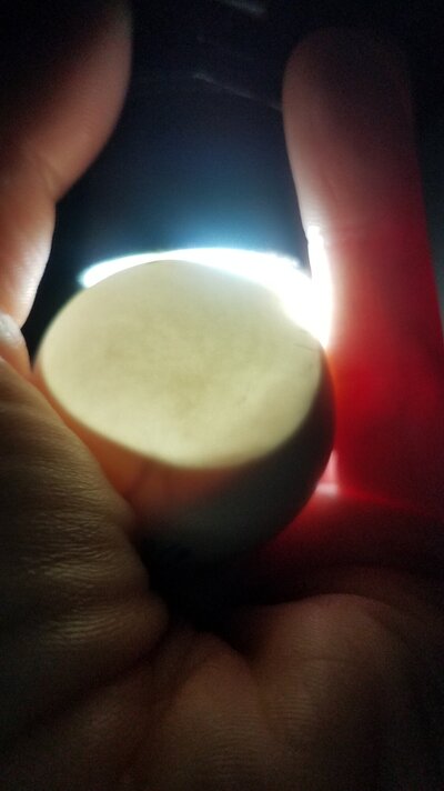 20220324_233519.jpg