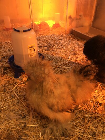 12204019-9E24-46BE-BAA0-B8BB72720398.jpeg