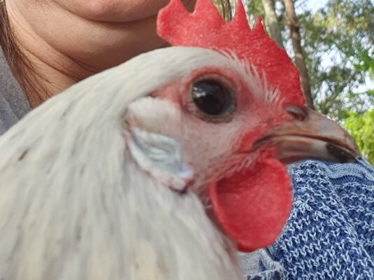 20200611_095936 (2).jpg