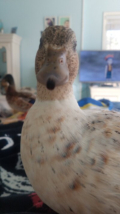 20220213_143247.jpg
