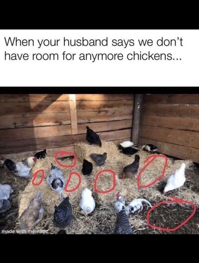 6B7F5DCA-5A00-4B04-AE80-F6E2D29C1884.jpeg