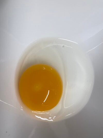 B2C38EC3-1BB6-4CC5-BF06-D401307CE2F7.jpeg