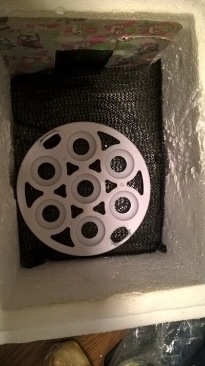 WP_20220402_04_48_37_Pro.jpg