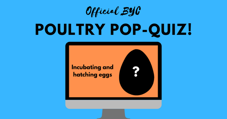Official BYC Pop-Quiz Contest: Incubating and hatching eggs