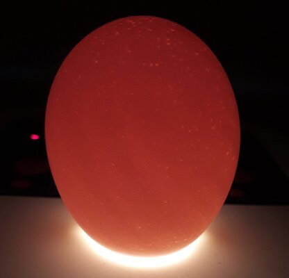 Test Egg.jpg