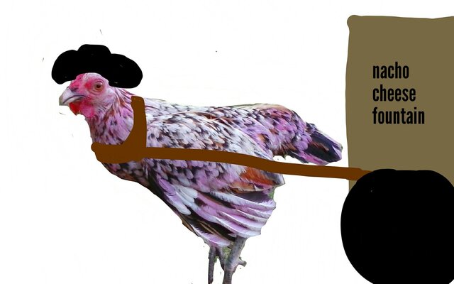 aviary-image-1649199683352.jpeg