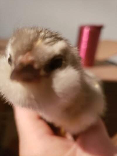 20220406_095006.jpg