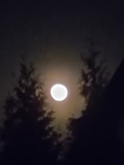 20220319_212635.jpg