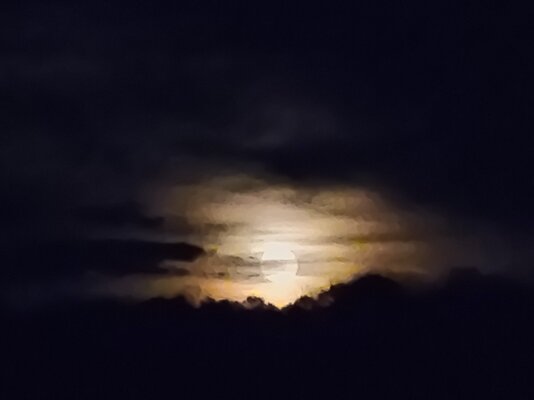 20210227_184346.jpg