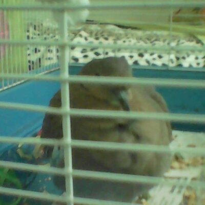 You are NOT unwanted. You are loved. You found a home.