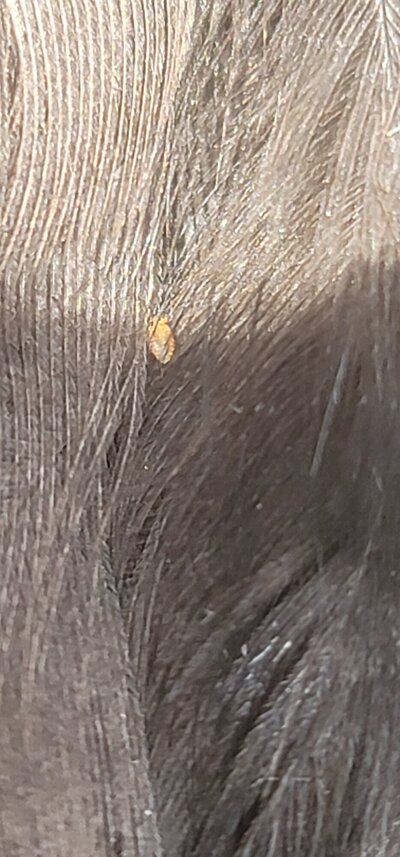 20220408_130740.jpg