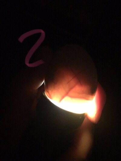 73EE37E8-D998-45AC-9D6F-DE08105E28D2.jpeg