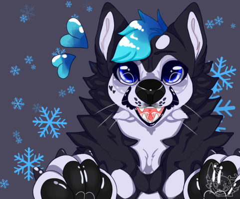 Husker com.png