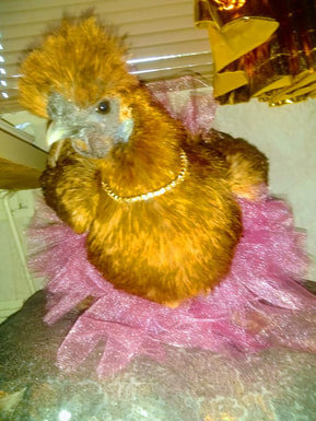 jasmine-in-her-tutu.jpg