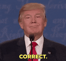 200-18.gif