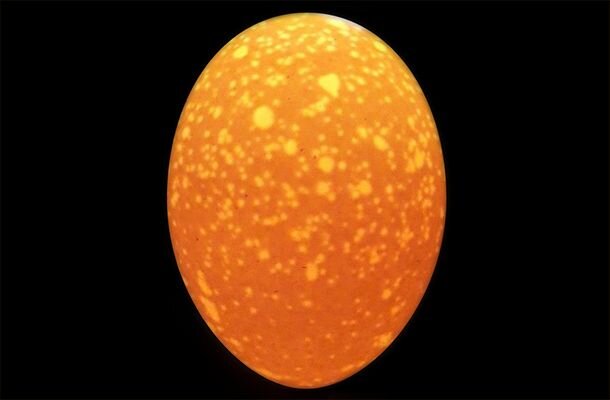 Mottled-egg-shells-optie-2.jpg