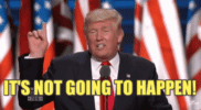 100-1.gif