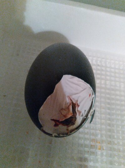 20220418_212705.jpg
