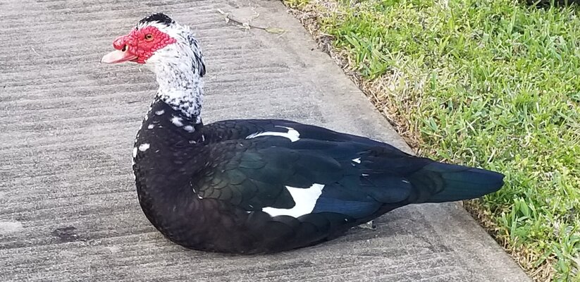 20220318_174108.jpg