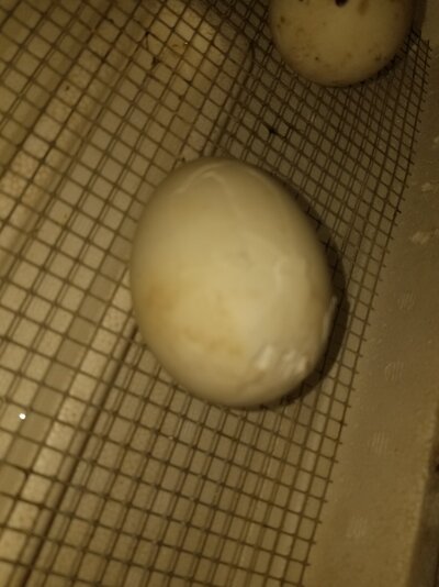 20220420_204720.jpg