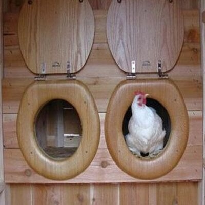 Ten-Amazing-Chicken-Coops-Made-From-Recycled-Things.jpg