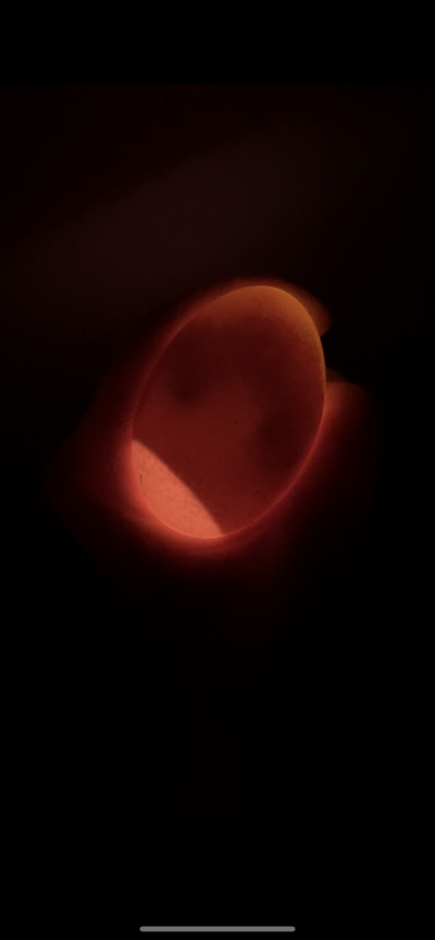 F42CC21D-450E-4FDD-9583-E36452EA0417.png
