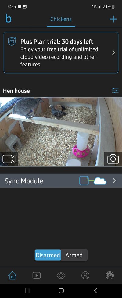 Screenshot_20220420-162302_Blink.jpg