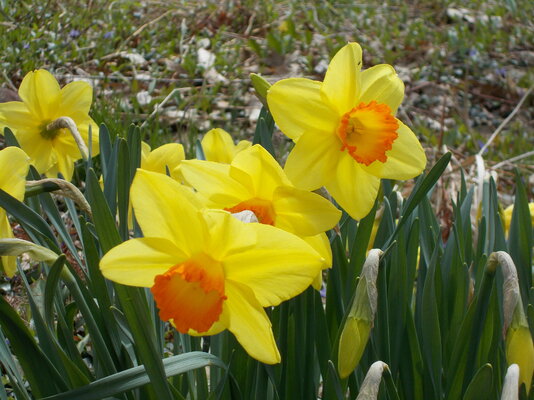 DSCN0573.JPG