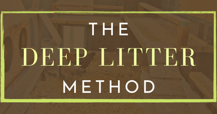 The Deep Litter Method: All You Need To Know