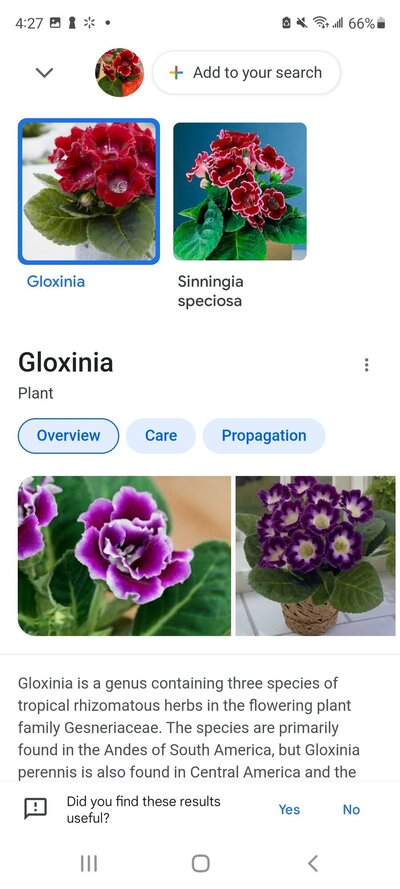Resized_Screenshot_20220424-162751_Google.jpeg