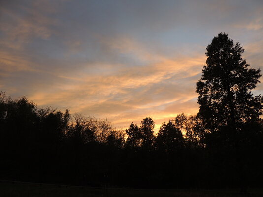 sunset pic 3.JPG