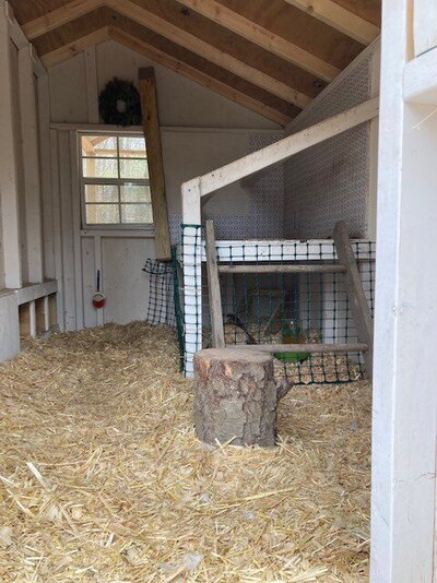 Mama and baby apartment.jpg