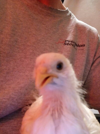 20220504_232915.jpg
