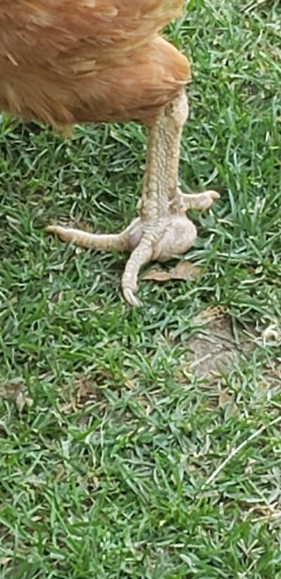 20220507_130952.jpg