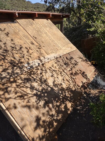 IMG_20220507_154902189_HDR.jpg