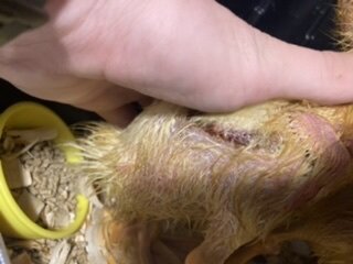 27F84AB3-1137-4EAA-9B2C-C3517F26D14F.jpeg
