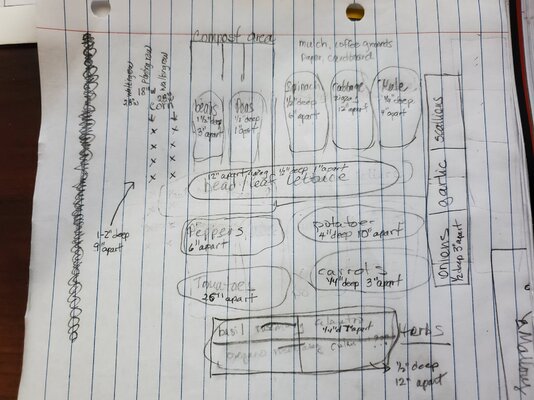 gardenplan.jpg