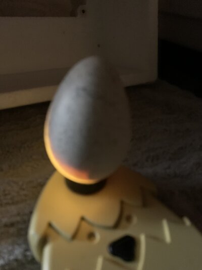 F7BAAB8A-7B1C-421D-8DC1-7D193C62BA2E.jpeg