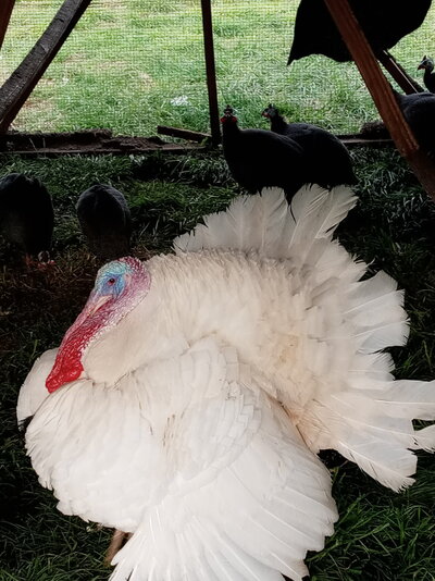 20220429_184535_HDR.jpg 20220429_184535_HDR.jpg