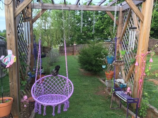 Backyard Grape Arbor.